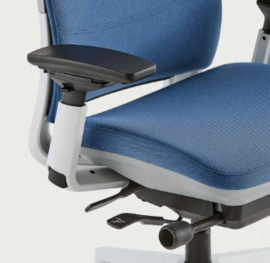 Steelcase Amia Vs. Series 2: Which Office Chair Should You Buy ...